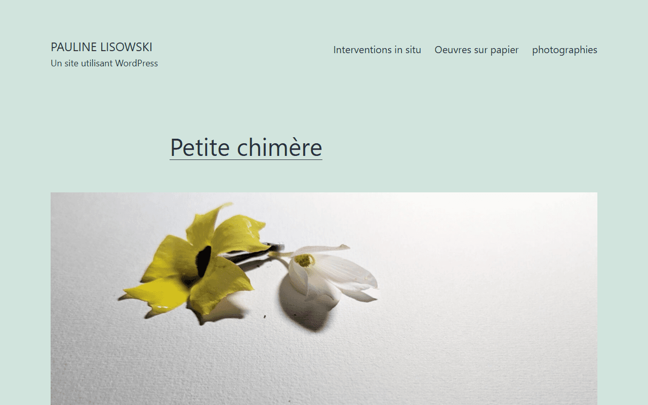 Capture d'écran de Pauline Lisowski - Artiste